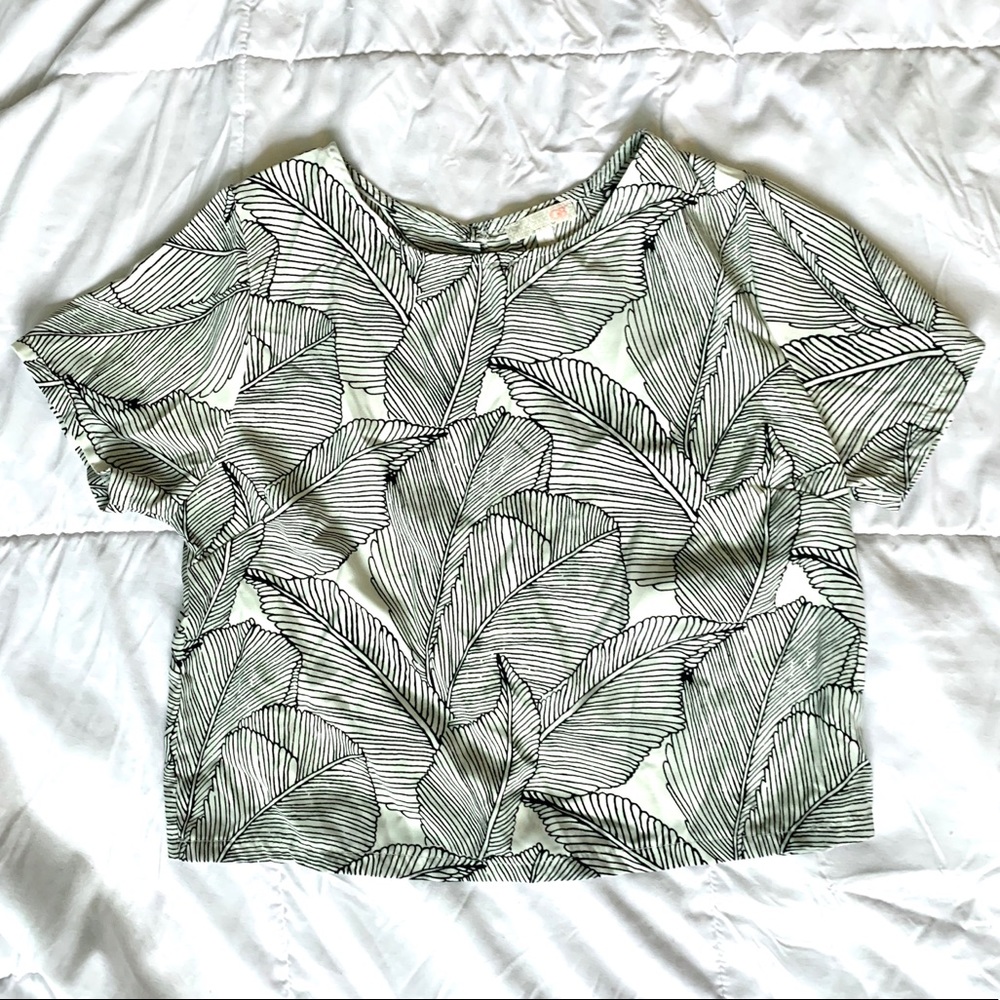 House Plants Leaf Short Top